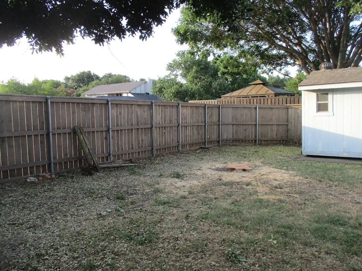 Cleared yard after professional tree removal in South Sutton