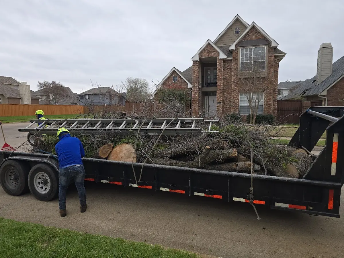 Expert Tree Removal with proper safety equipment in South Sutton